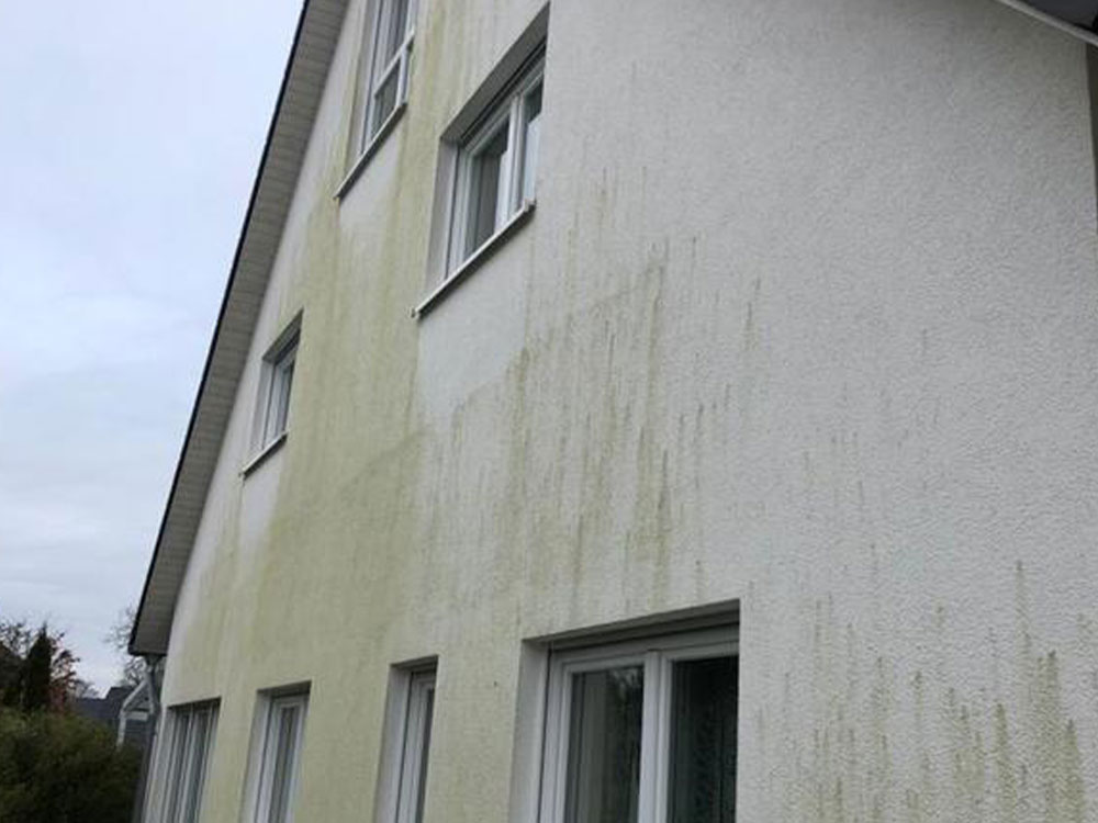 schmutzige Hausfassade reinigen