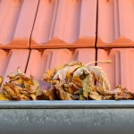 Dachrinnenreinigung