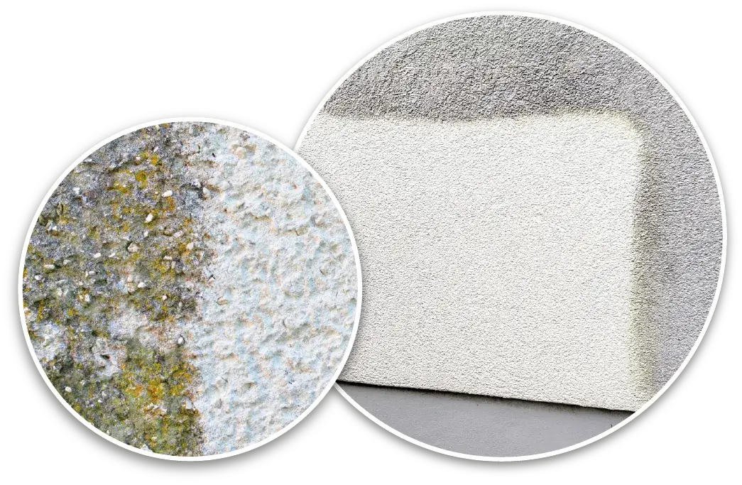 Moos und Algen von Hauswand entfernen